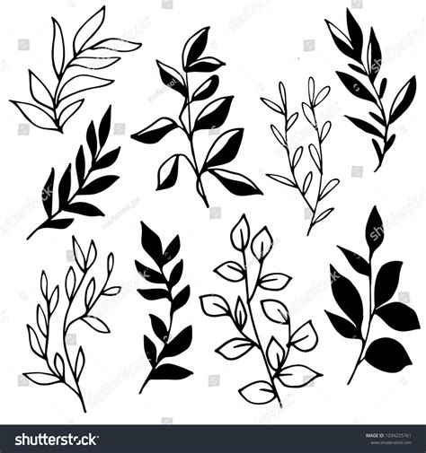 leaf outline drawing|leaves and branches outline drawing.